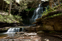 Short Springs Natural Area_TN